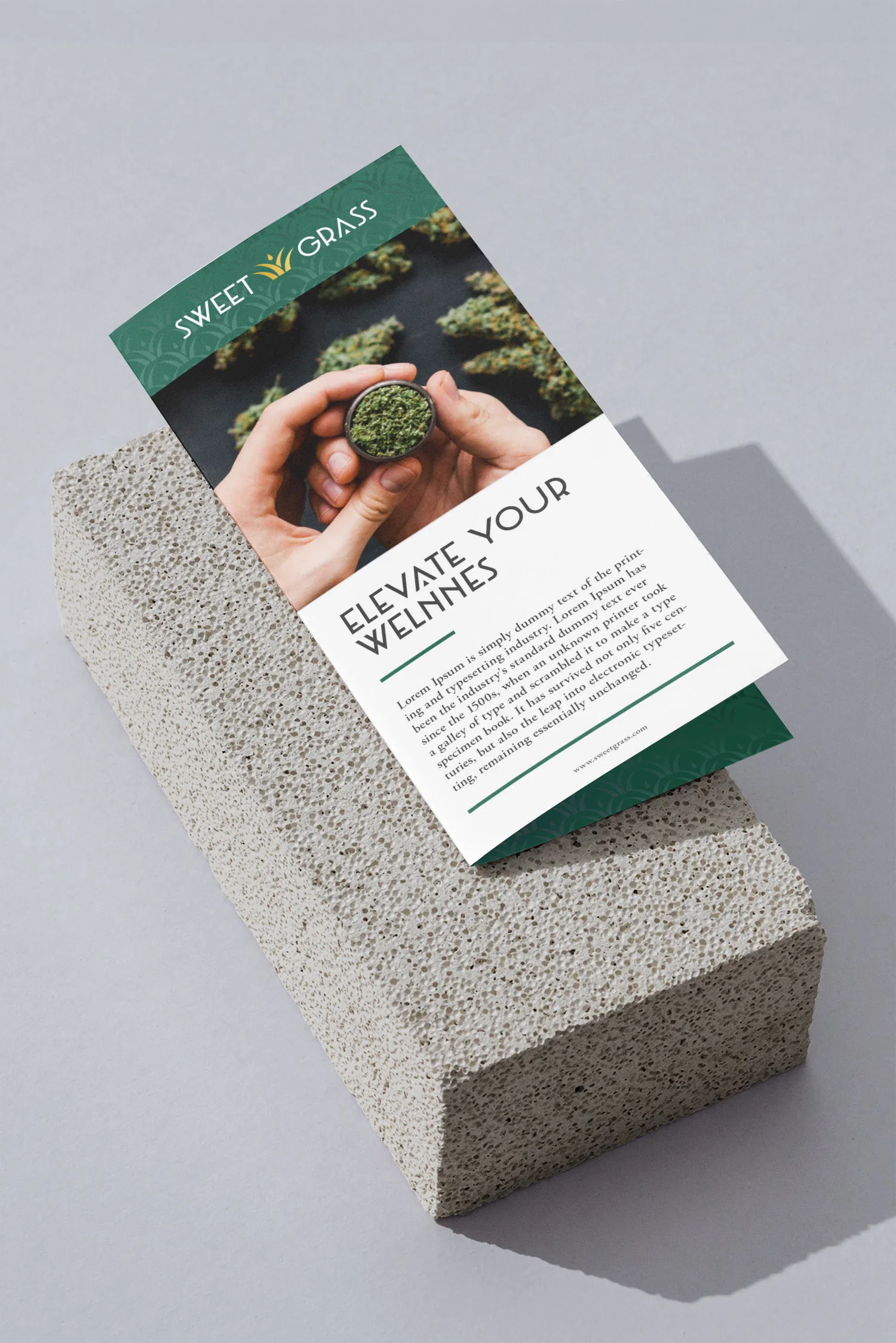 SweetGrass folded brochure with green patterned band, product photography and Elevate Your Wellness headline