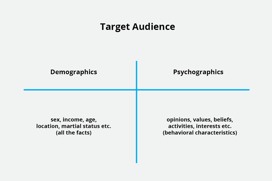 Target Audience